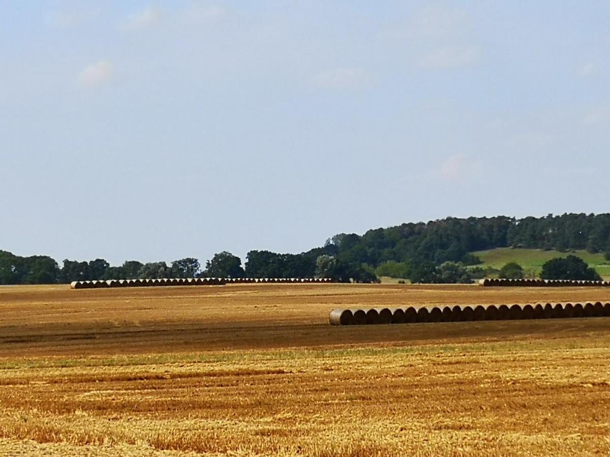 Appartamento Bahnhof Hohen Mistorf Esterno foto